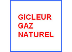 Kit injecteurs g20 20 mbar 481010713839