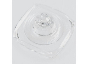 Lentille 481938118151