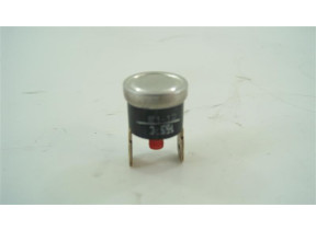 Limit temperat. 155°c 480121101181