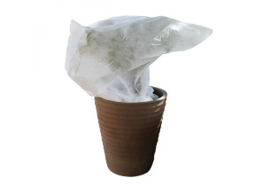 Linxor - lot de 2 housses de protection pour plantes - 2.20 x 4.40 m - 30g/m2 - blanc EGK1011