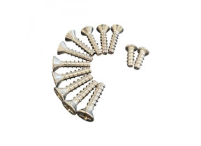 Lot de 12 vis pour skimmer de piscine sp1090 SPX1090Z1A