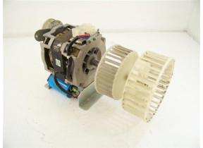 Moteur 24000210