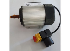 Moteur électrique 14121307