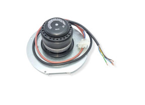 Moteur extracteur fumees RI.02281