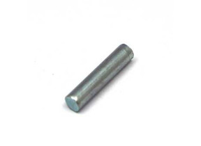 Pin common 1PZZFI3002A