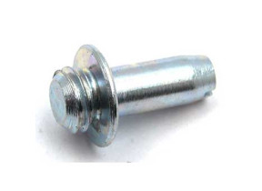 Pivot charniere 19mm C00293114