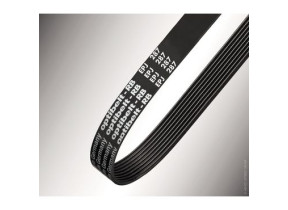 Pje5 courroie v13819 0020300609