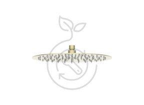 Pomme de douche icone laiton p42176-bb 399P42176BB