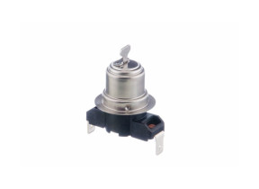 Régulateur de température 00029954