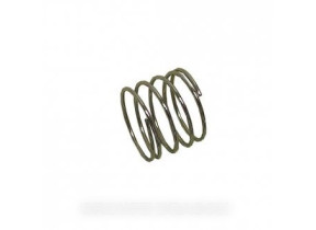 Ressort de bouton 242100050