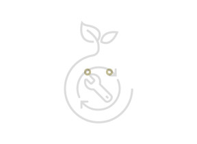 Rosace icone laiton fs-bf3 399FSBF3