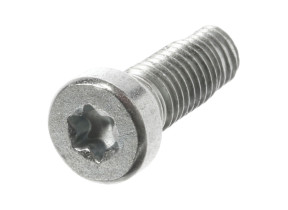 Schraube 10001388