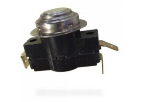 Thermostat 00032604