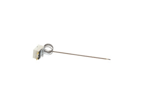 Thermostat 00098031