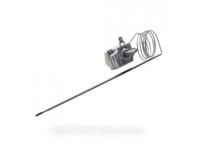 Thermostat 00499791