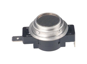 Thermostat 06671900