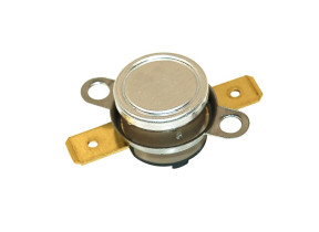 Thermostat (100°c) 818731555