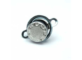 Thermostat 12023203