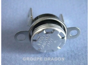 Thermostat 145c 481228248292