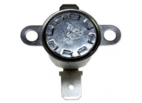 Thermostat (160°c) 818731550