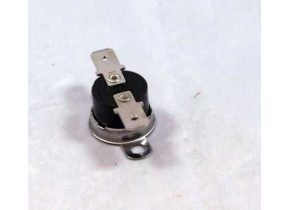 Thermostat (165°c) 481228248297