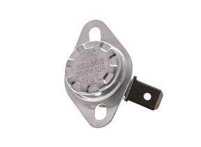 Thermostat (170°c) XDQ0608
