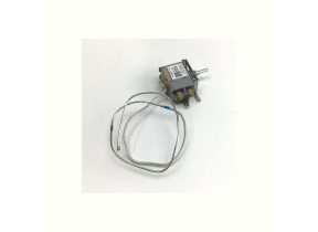 Thermostat 17431000001033