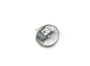 Thermostat 17431000001365
