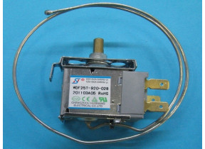 Thermostat 409862