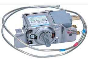 Thermostat 43008746