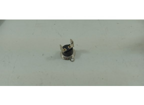 Thermostat 480120100197