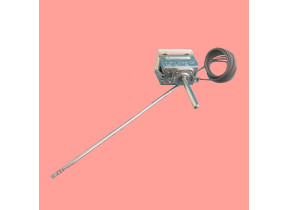 Thermostat 480121100475