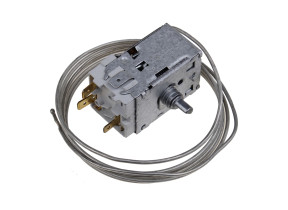 Thermostat 480131100484