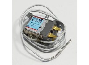 Thermostat 481221538032