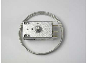 Thermostat 481227128422