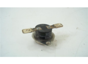 Thermostat 481227128528