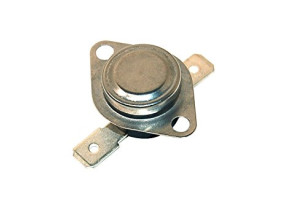 Thermostat 481228208651