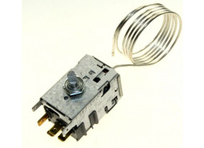 Thermostat 481228208655