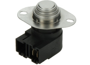 Thermostat 481228208676