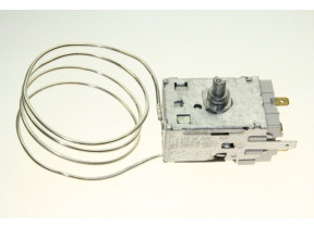 Thermostat 481228228333