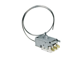 Thermostat 481228238084