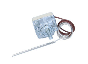 Thermostat 481228238149