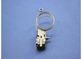 Thermostat 481228238206