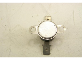 Thermostat 481928248274