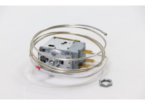 Thermostat 49027325