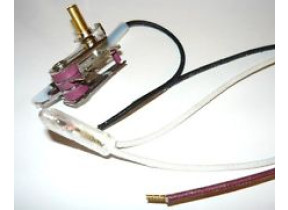 Thermostat 500584375