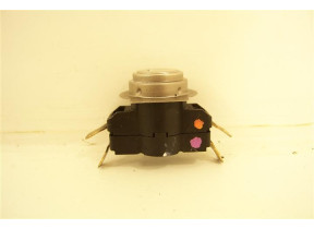 Thermostat 50204349000