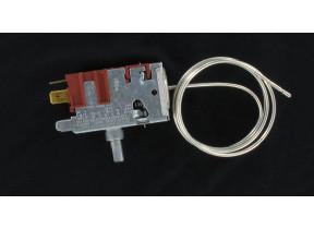 Thermostat 596249