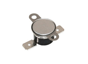 Thermostat (75°c) C00081599