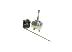 Thermostat 818730269